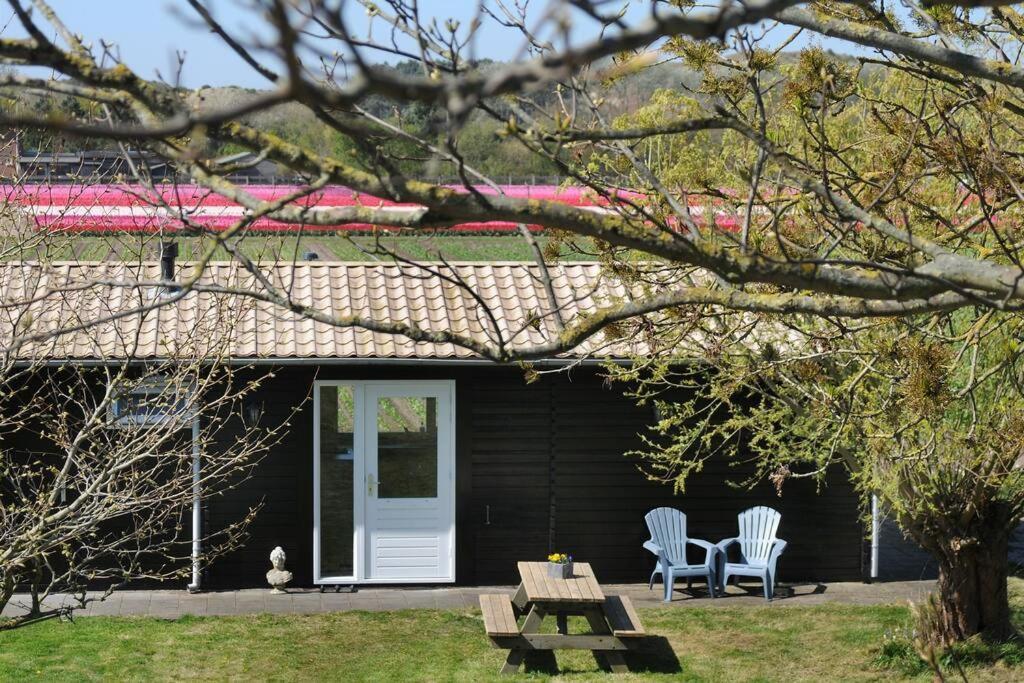 Chalet Egmond เอ็กมอนด์ อาน เดน ฮูฟ ภายนอก รูปภาพ